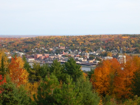 Downtown Houghton, trees in color